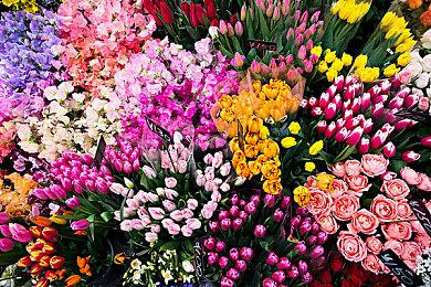 《星球大战绝地：幸存者》PS5手柄可模拟原力推拉